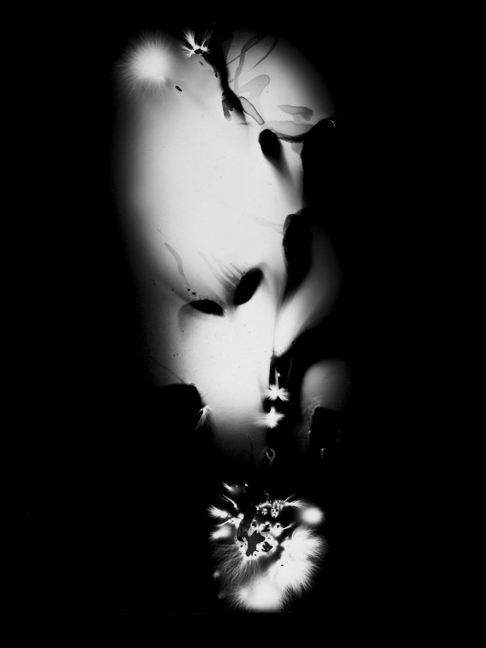 Kristi Beisecker