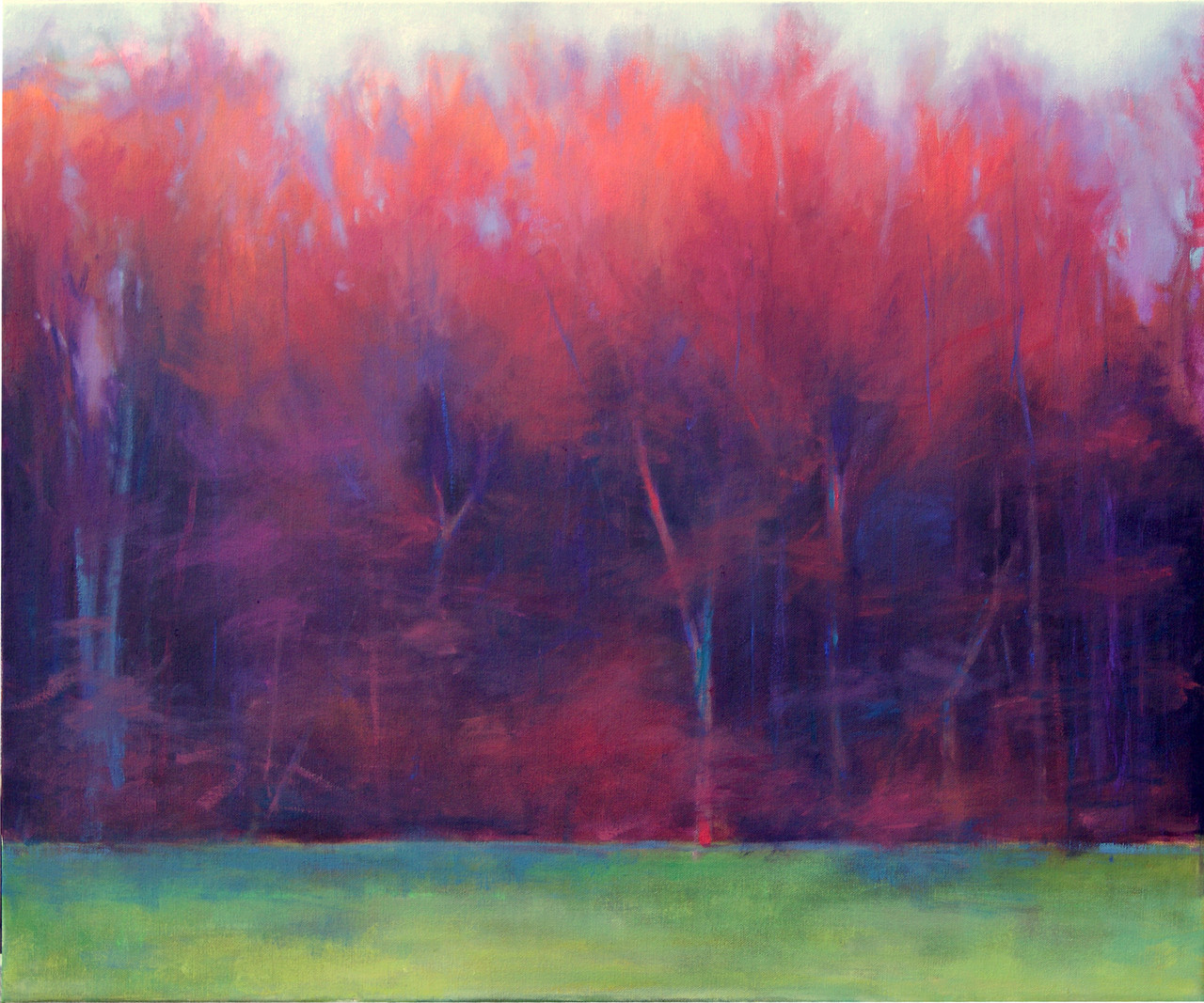 Robin Herr