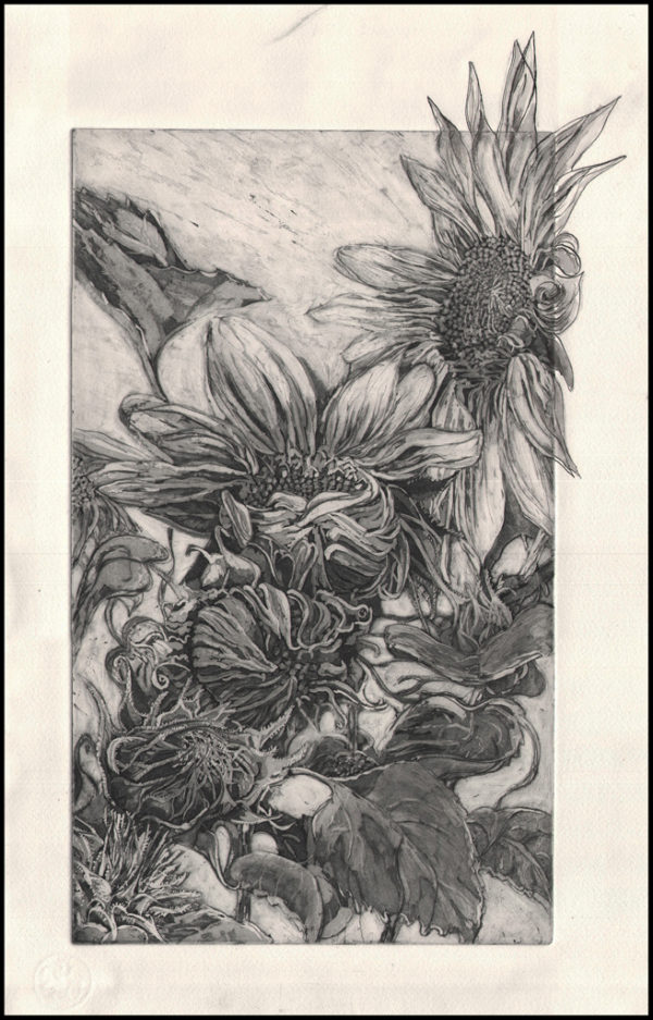 Attention to Detail – Cambridge Art Association